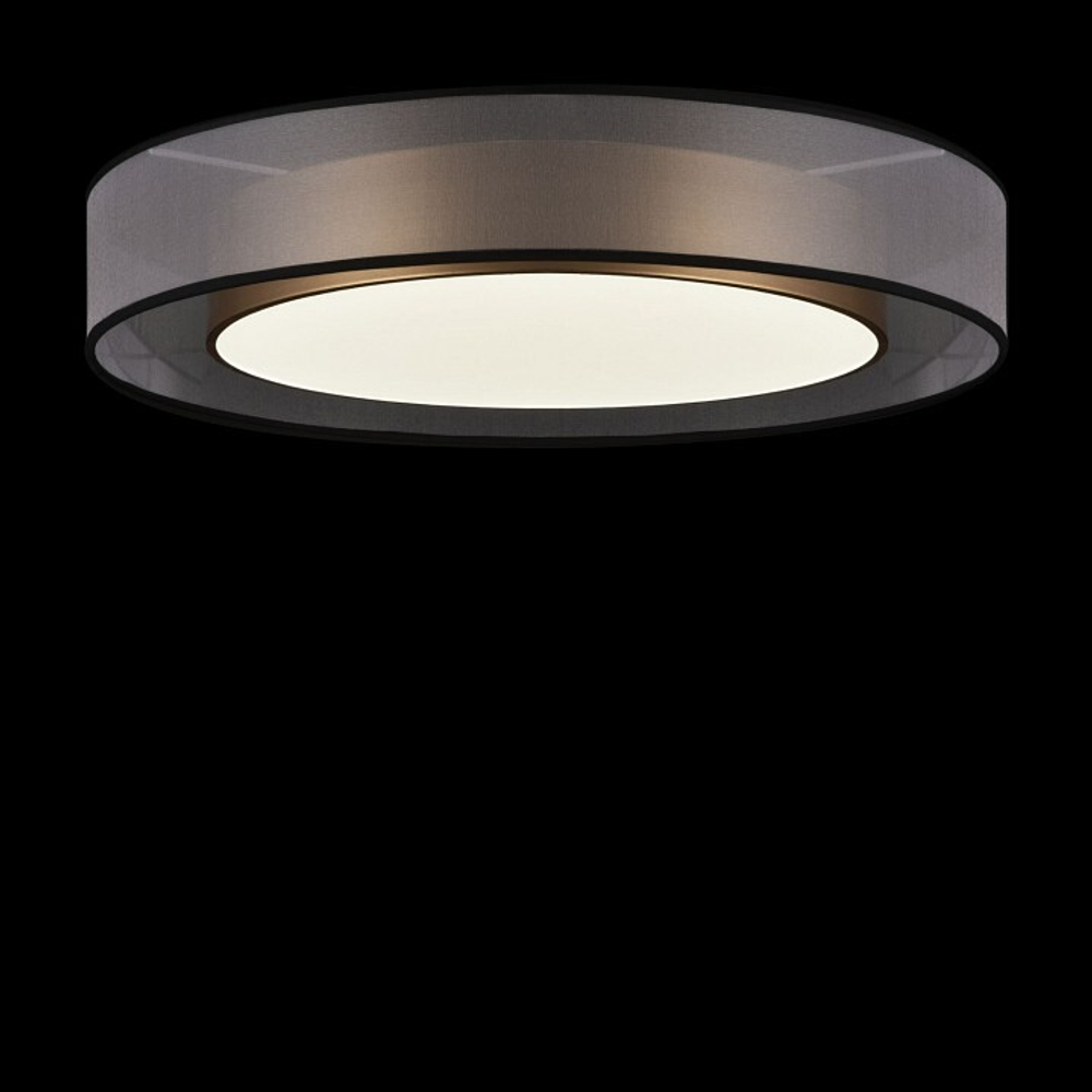 Накладной светильник Freya Zoticus FR6005CL-L48G