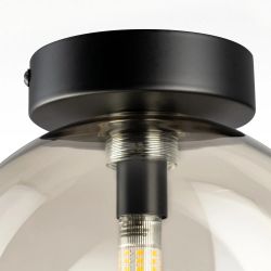 Citilux ORTON CL202511 Светильник Дымчатый