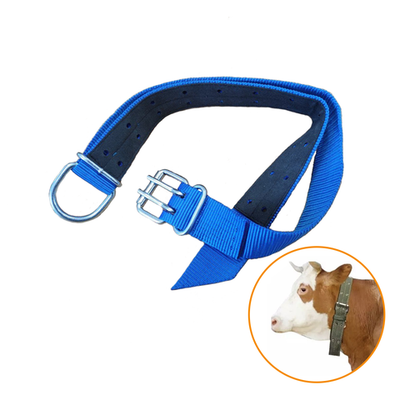 Ошейник для коров, 140 см с D-образным кольцом