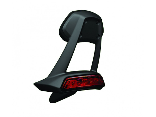 96781451A PASSENGER REAR BACKREST (DVL 1260)