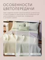 Покрывало двухстороннее Aurora Veil PAV005