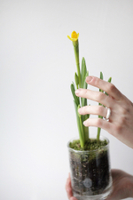 Композиция с первоцветами в стеклянной вазе размер S