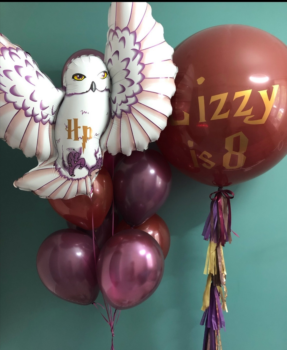 Набор шаров Сова из Гарри Поттера