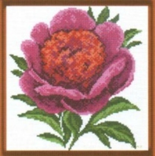 "Роза"-0639 канва с рисунком