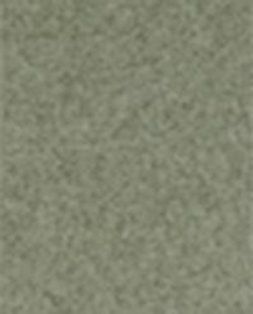 Zara Home Аромадиффузор Sea Salt & Cedar 185 мл, тростниковые палочки микадо, аромат древесный, Коричневый