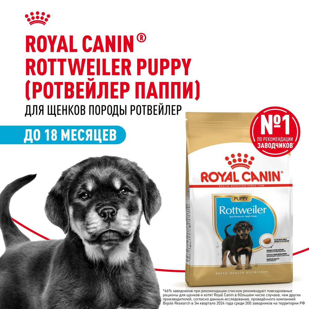 Royal Canin Rottweiller Puppy Корм сухой для щенков породы Ротвейлер до 18 месяцев 12 кг