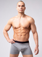 Мужские боксеры из мягкого хлопкового трикотажа (Размер: XXL) (Цвет: серый)
