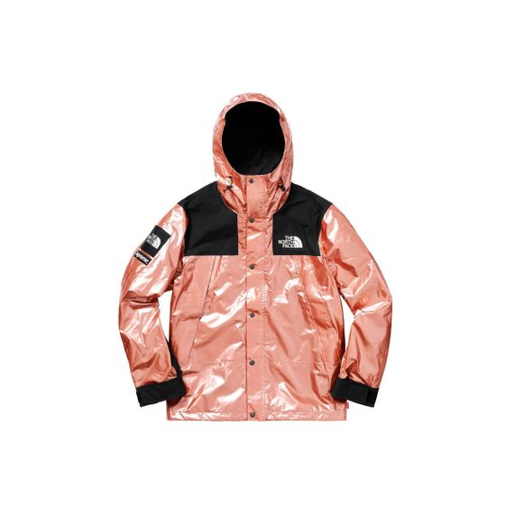 Supreme TNF TNF Metallic Parka