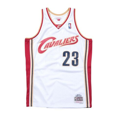 Футболка Mitchell & Ness Swingman Jersey Cleveland Cavaliers LeBron James (White)