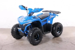 Электроквадроцикл Green Camel Гоби K90 (48V 750W R7 Дифференциал) Tao LUX