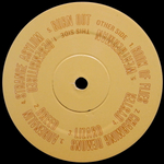Senser / Asylum (LP)