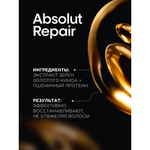 L'Oreal Professionnel Absolut Repair весенний набор для поврежденных волос (Шампунь 300 мл + Маска 250 мл).