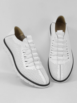 Кроссовки мужские P0062-1V