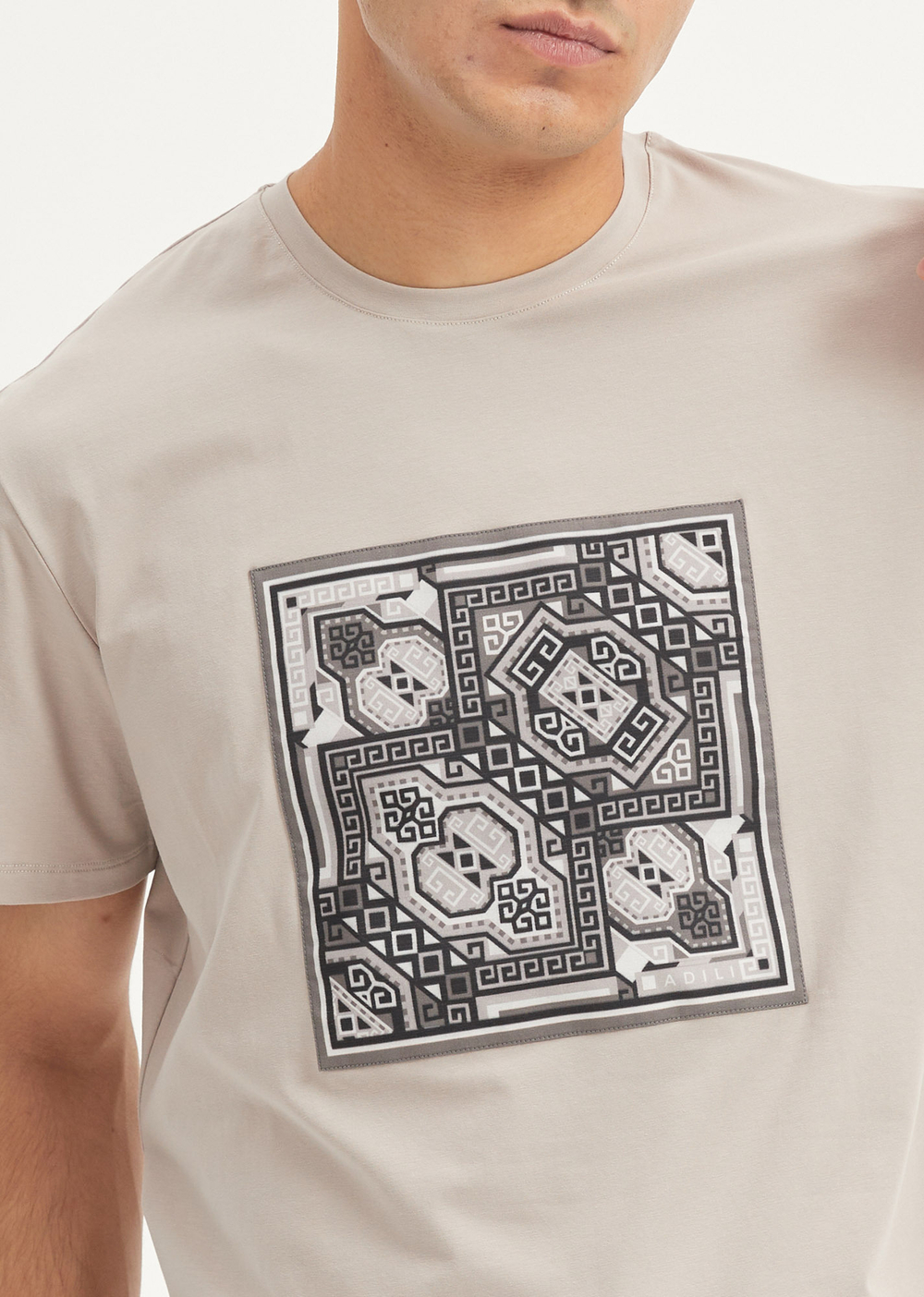 Мужская футболка серая, (принт 72-02), р.XL