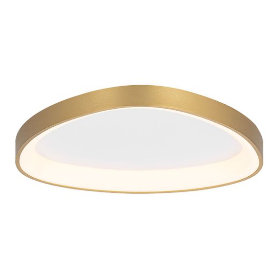 Потолочный светодиодный светильник Citilux Genka Smart CL756A142