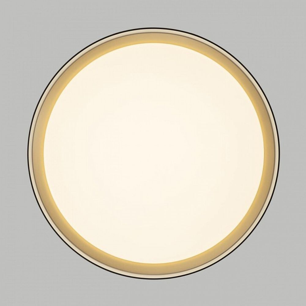 Накладной светильник Citilux BOSS CL751351G