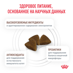 Royal Canin Gastrointestinal Kitten Гастроинтестинал Киттен Корм сухой диета для котят от 2 до 10 месяцев при нарушениях пищеварения 1кг