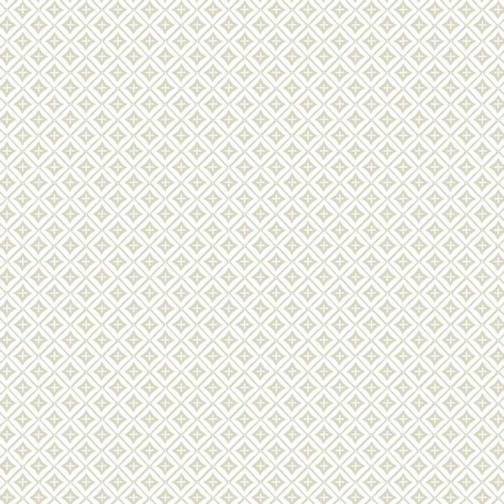 Small Prints Resource Library