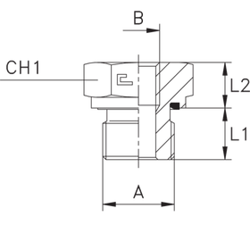 Соединение PFE BSP 1 BSP 3/8