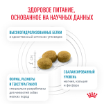 ROYAL CANIN Hypoallergenic Диетический корм для собак при пищевой аллергии, 1 кг