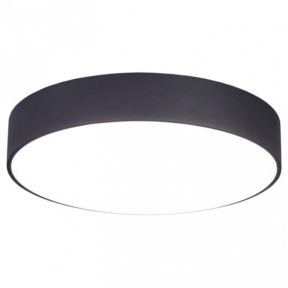 Накладной светильник Citilux Тао CL712242N