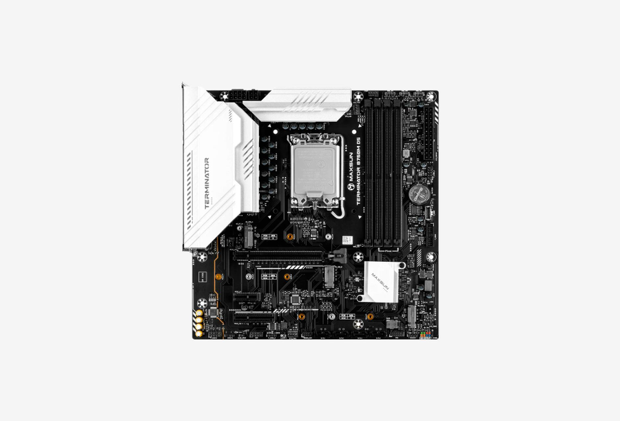 MS-Terminator B760M D5 V2_0126529100910