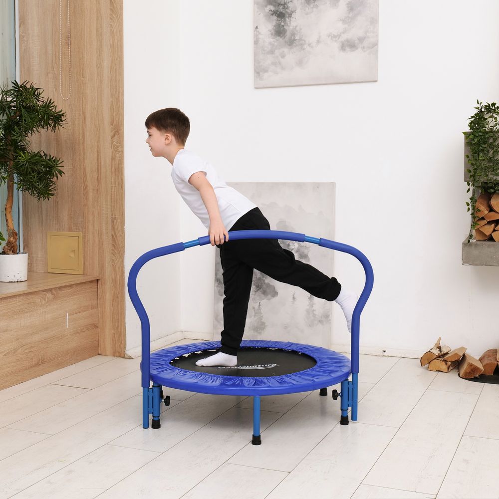 Батут с поручнем DFC Gardenature 36&#39;&#39; синий