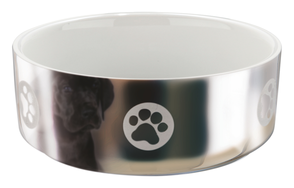 Миска для собак Trixie Ceramic Bowl M, размер 15см., серебряный / белый