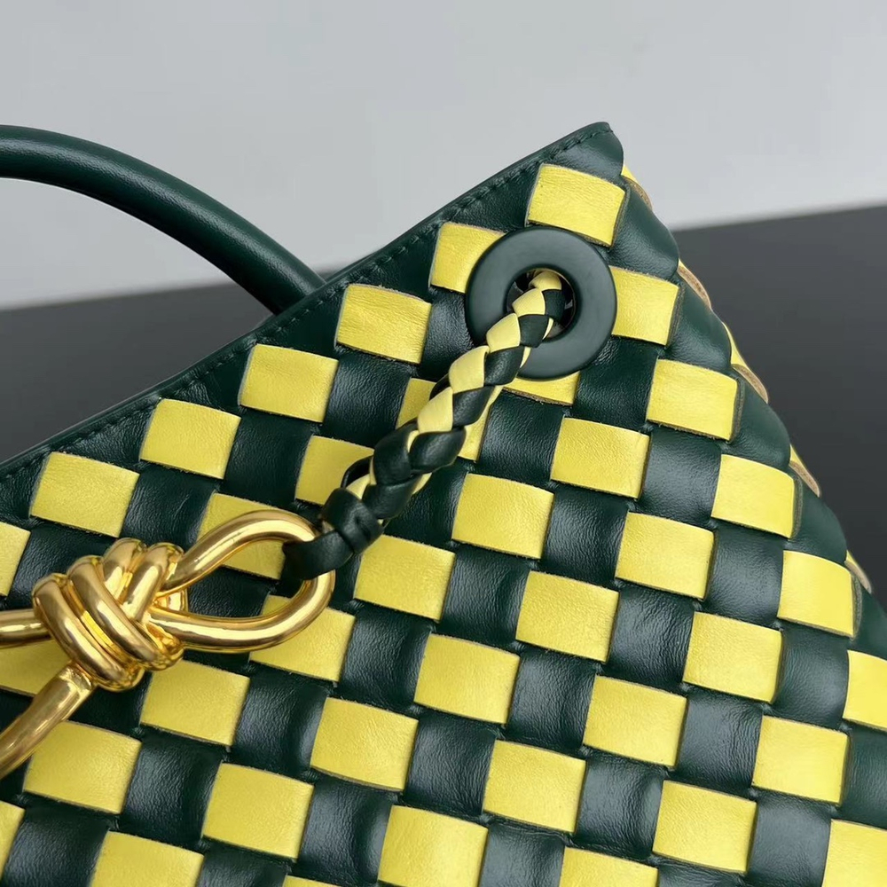 Bottega Veneta Small Andiamo 25 cm