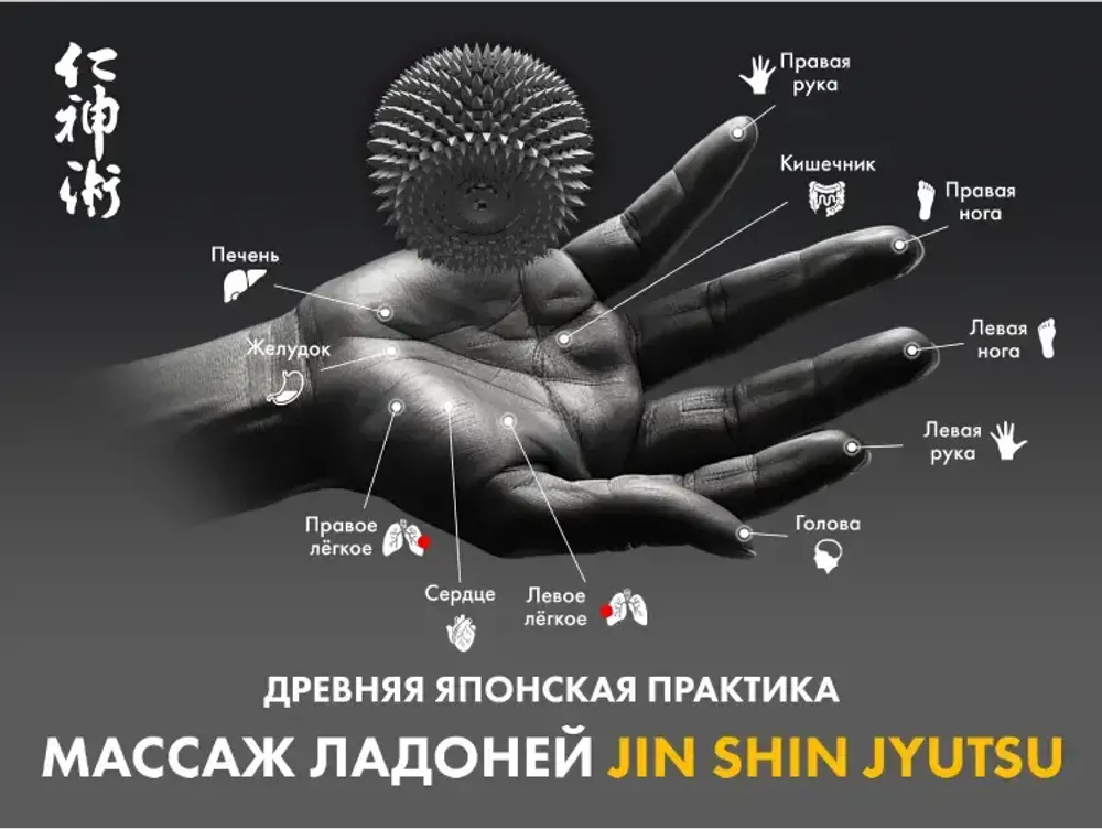 Массажное кресло FUJIMO 氣 Combat 4D Шампань