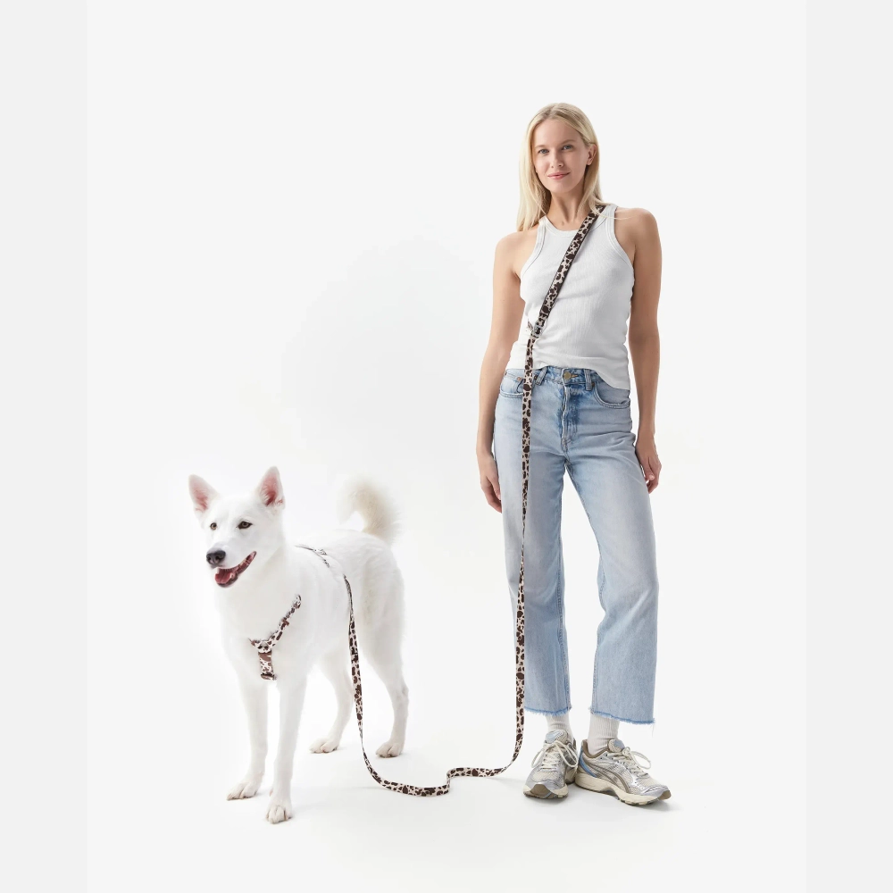 Настраиваемый поводок Cow с автоблокировкой