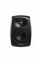 Genelec 4020CMM