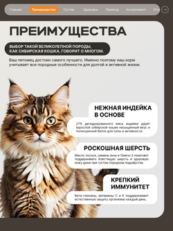 Корм сухой для кошек породы Сибирская кошка, с индейкой, 400 гр, QUATTRO