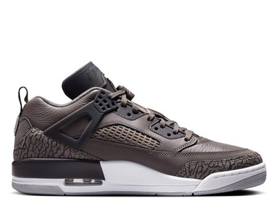 Баскетбольные кроссовки Jordan Spizike Low Shoes Brown