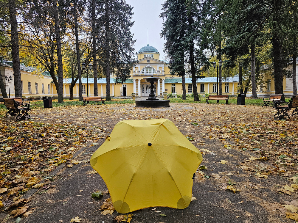 Братцево — самая забытая усадьба Москвы и её тайные истории
