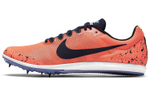 Кроссовки Nike Zoom Rival D 10