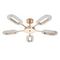 Потолочная светодиодная люстра Arte Lamp Ovale A2489PL-5GO