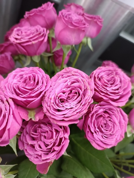 Букет из 13 веточек кустовых