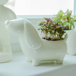 Набор для выращивания eco Собачка