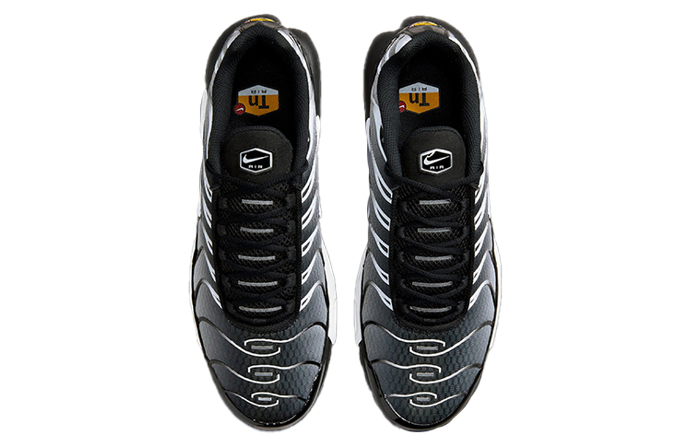Кроссовки Nike Air Max Plus