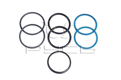 Р/к гидроцилиндра РСМ-10.09.02.100Б (подъёма жатки) Русь