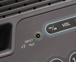 Svensson Body Labs OrthoLine TTX