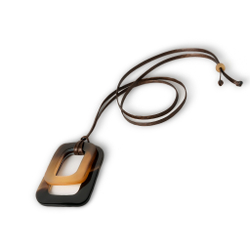 turtle horn rectangle