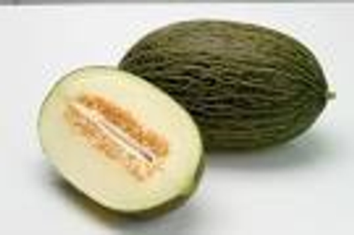 Дыня Рикура F1