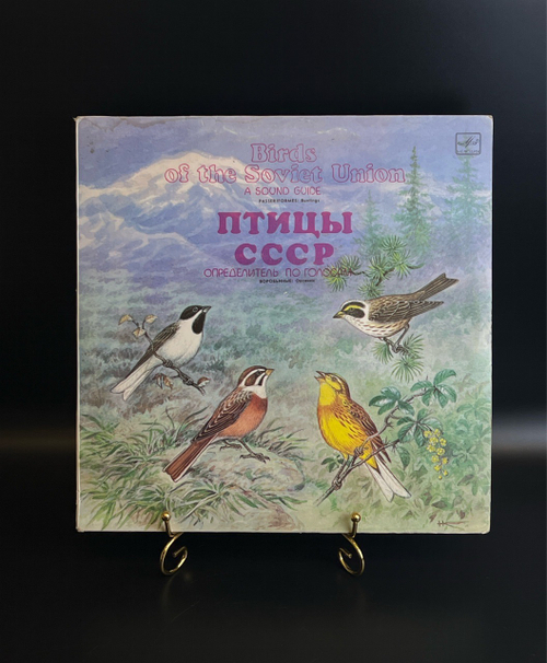 LP Птицы СССР. Определитель По Голосам Кулики: Веретенники, Плавунчики, Песочники. Виниловая пластинка 12 дюймов. Мелодия СССР 1986 год.