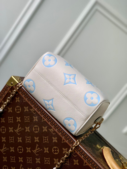 Louis Vuitton Speedy 20