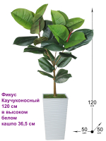 Искусственное растение Фикус каучуконосный 120 см в высоком белом кашпо 36 см