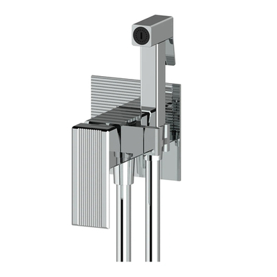 443553 Комплект скрыт. монтажа для биде (ХРОМ) ViEiR  (10/1шт)