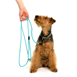 Поводок Weekend Doglea