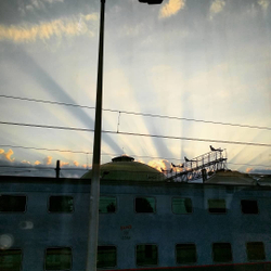 Грифон